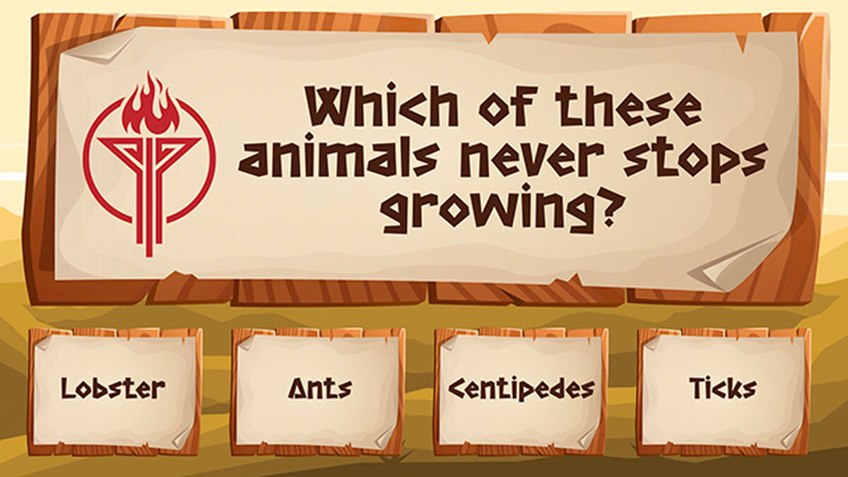 Survival Trivia image number null